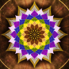 Mounted Print - Earth Star